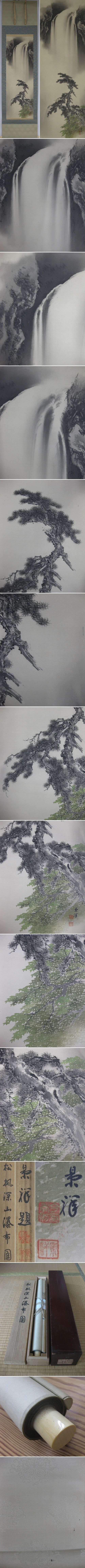 夏くさ 新画・古美術掛軸（掛け軸）販売/通販のお店【掛軸専門店 みしま】
