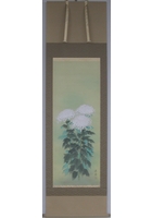 菊