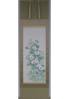 芙蓉