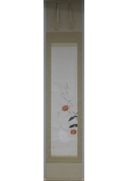 小兎